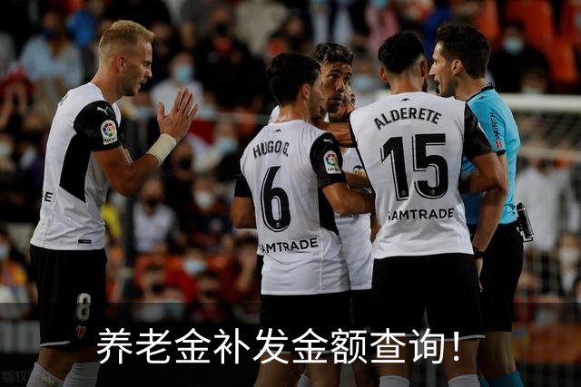 养老金补发金额查询！