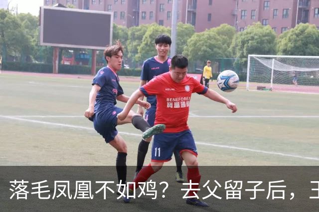 落毛凤凰不如鸡？去父留子后，王鸥回应无戏可拍，坦言走上另一条路